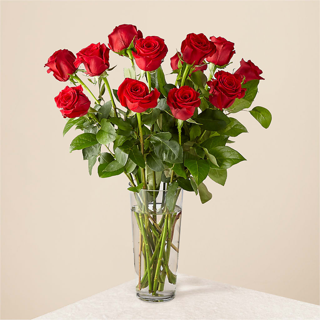 Long Stem Red Rose Bouquet – Bloomtopia, New Bedford MA