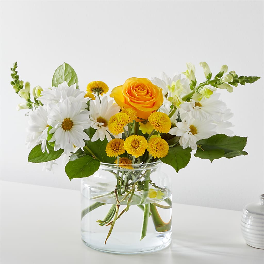 Sun Salutation Bouquet – Bloomtopia, New Bedford MA
