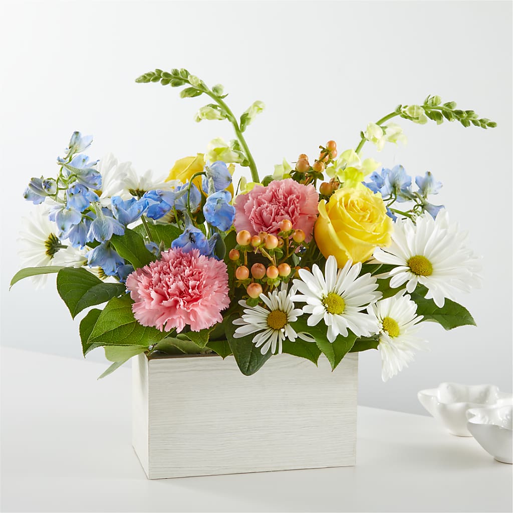 Sun Salutation Box Bouquet – Bloomtopia, New Bedford MA