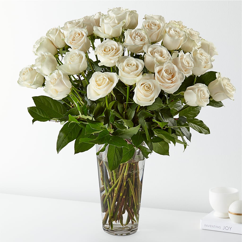Long Stem White Rose Bouquet – Bloomtopia, New Bedford MA