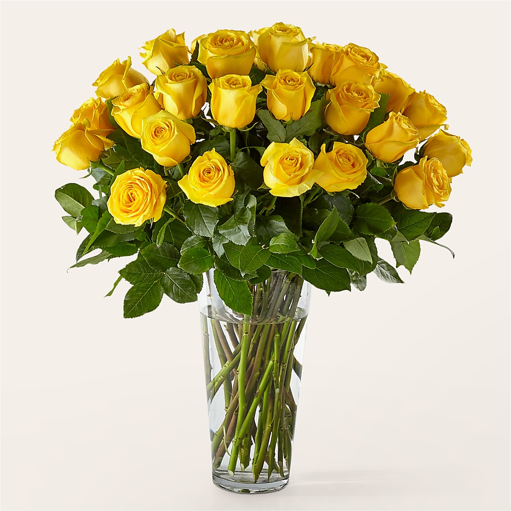 Long Stem Yellow Rose Bouquet – Bloomtopia, New Bedford MA
