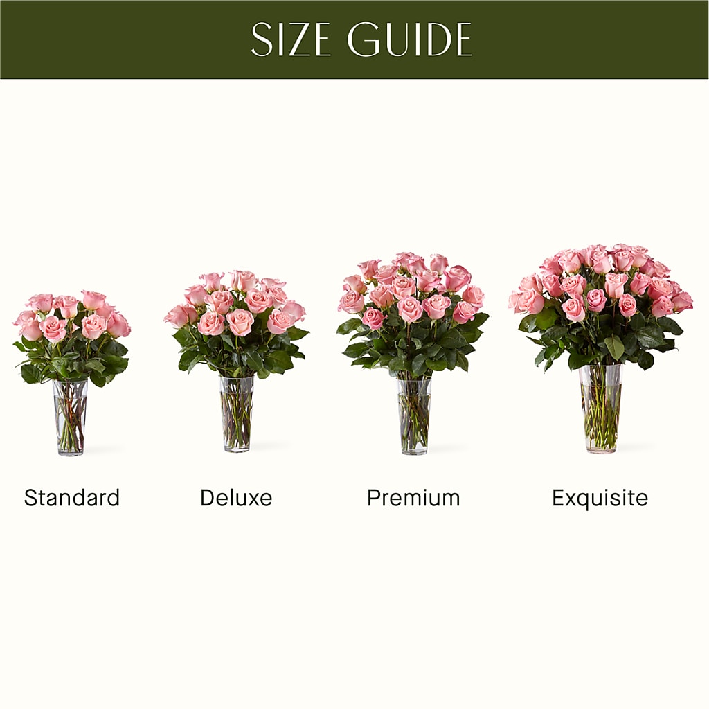 Long Stem Pink Rose Bouquet – Bloomtopia, New Bedford MA