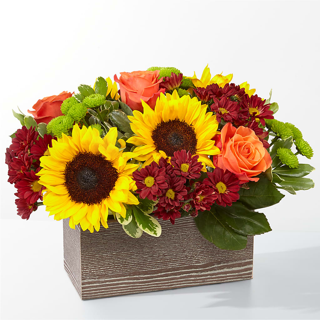 Happy Harvest Garden – Bloomtopia, New Bedford MA