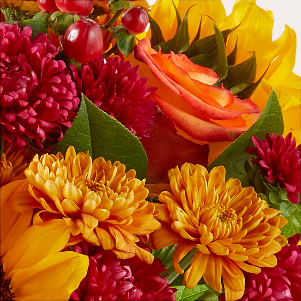 Sweater Season - A Florist Original – Bloomtopia, New Bedford MA