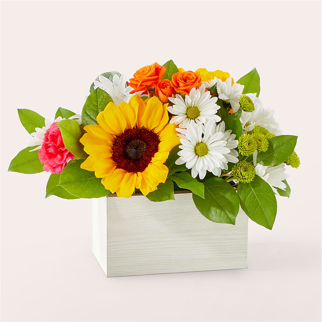 Sun-drenched Blooms Box Bouquet – Bloomtopia, New Bedford MA