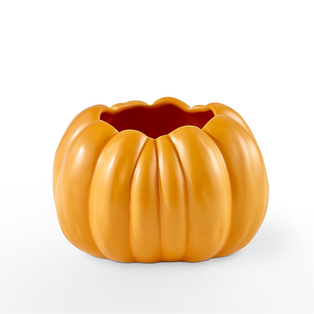 Pick of the Patch Pumpkin Bouquet – Bloomtopia, New Bedford MA
