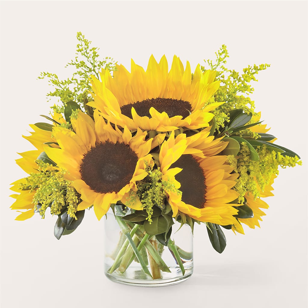 Beaming Sunflower Bouquet – Bloomtopia, New Bedford MA