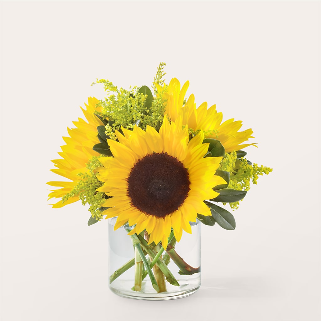 Beaming Sunflower Bouquet – Bloomtopia, New Bedford MA