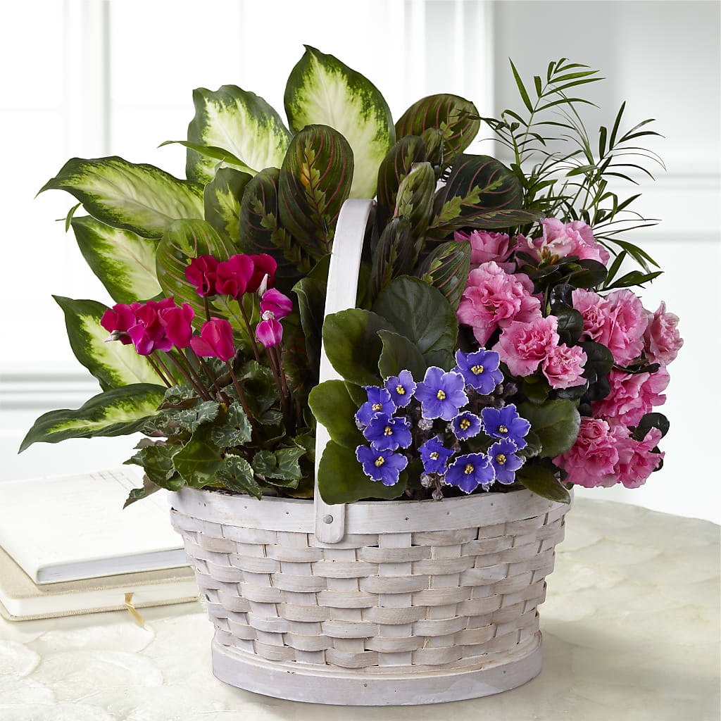 Peaceful Garden Planter – Bloomtopia, New Bedford MA