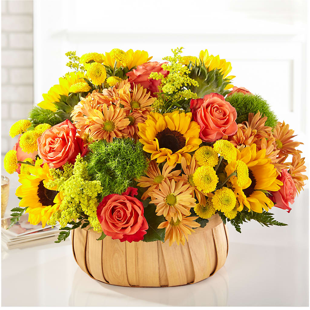 Harvest Sunflower Basket – Bloomtopia, New Bedford MA