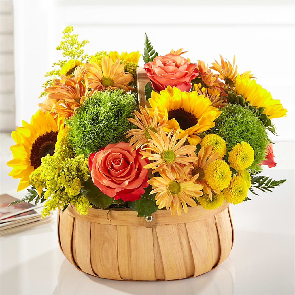 Harvest Sunflower Basket – Bloomtopia, New Bedford MA