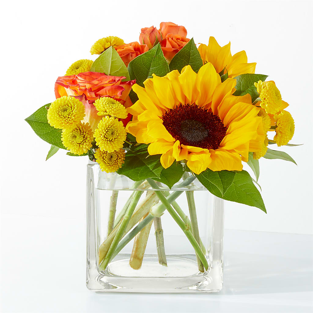 Picnic in the Park Bouquet – Bloomtopia, New Bedford MA