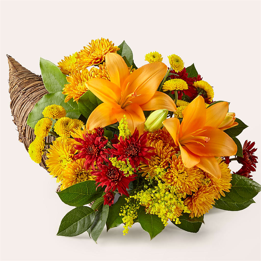 Feast of Color Cornucopia – Bloomtopia, New Bedford MA