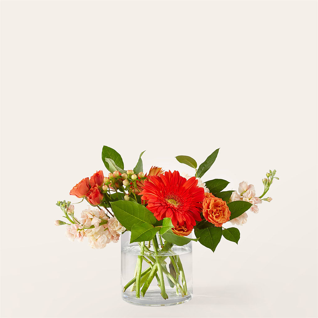 Paloma Please Bouquet – Bloomtopia, New Bedford MA