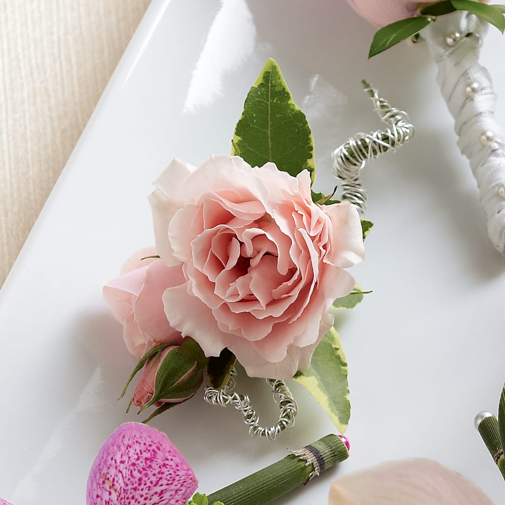 Pink Spray Rose Boutonniere – Bloomtopia, New Bedford MA