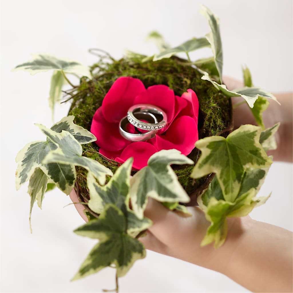 Lila Rose Ring Nest – Bloomtopia, New Bedford MA