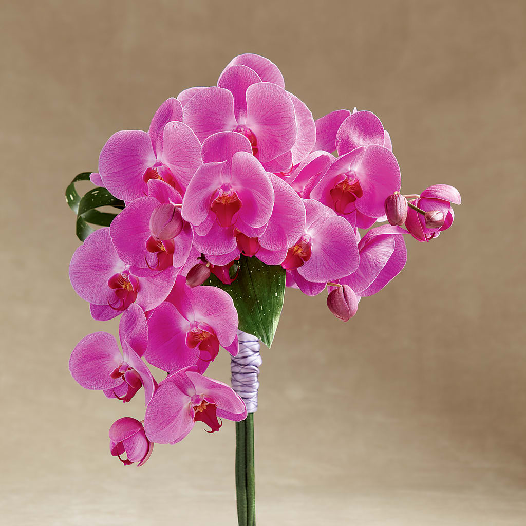 Glorious Bouquet – Bloomtopia, New Bedford MA