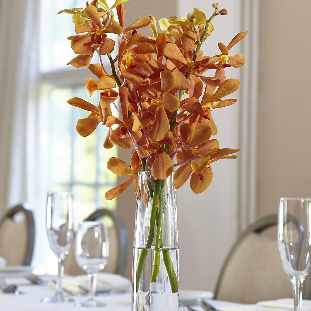 Orange Mokara Bud Vase – Bloomtopia, New Bedford MA