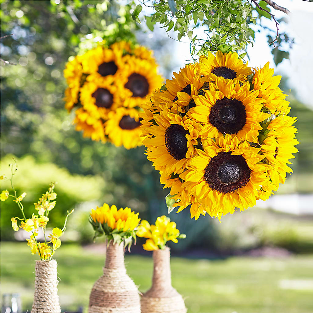 Sublime Garden Hanging Arrangement – Bloomtopia, New Bedford MA