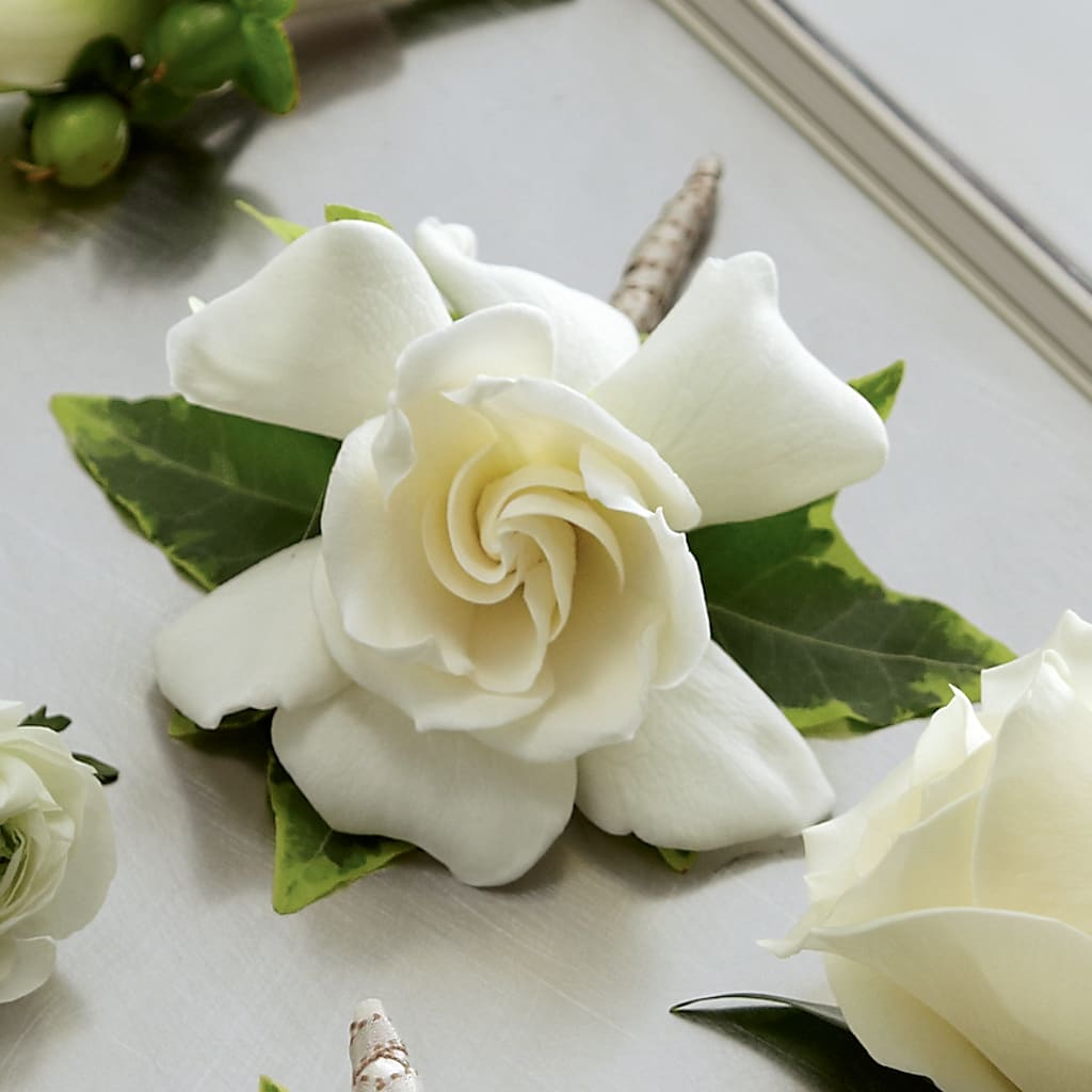 Gardenia Boutonniere – Bloomtopia, New Bedford MA