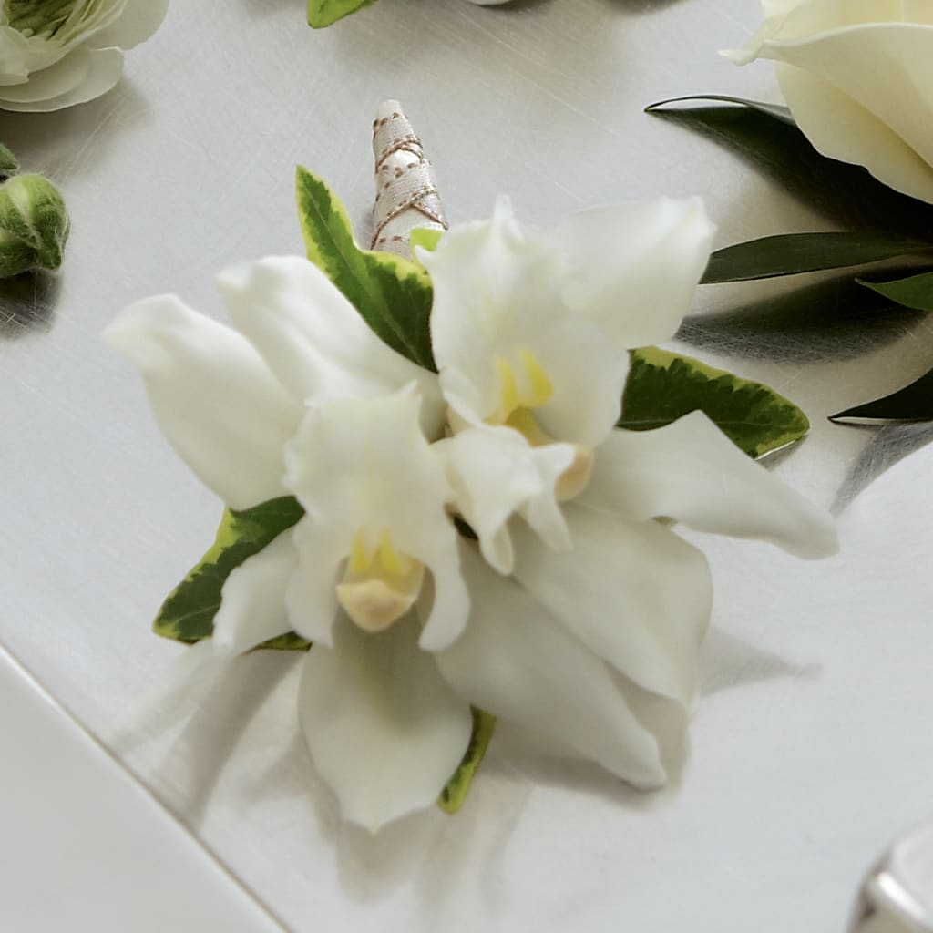White Mini Cymbidium Boutonniere – Bloomtopia, New Bedford MA