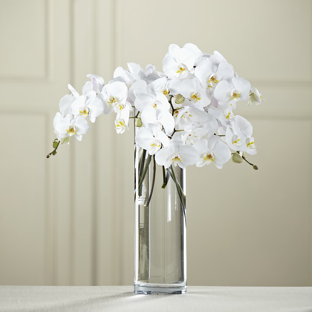 White Phalaenopsis Bouquet – Bloomtopia, New Bedford MA