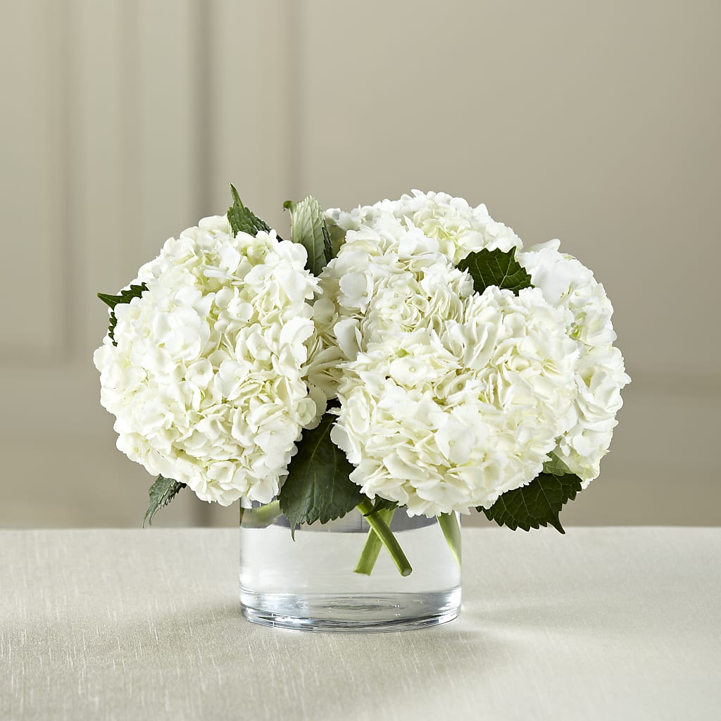 White Hydrangea Bouquet – Bloomtopia, New Bedford MA