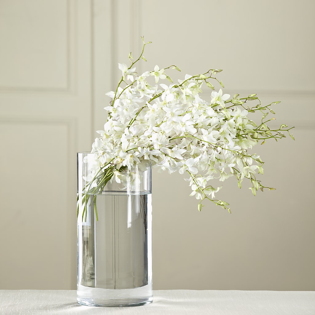 White Dendrobium Bouquet – Bloomtopia, New Bedford MA