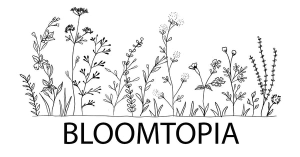 21-0465AA Bloomtopia