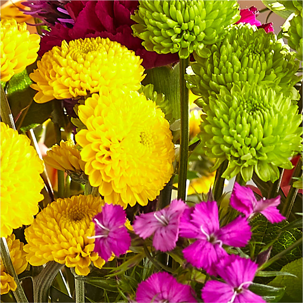 Bold & Bright – A Florist Original –  Bloomtopia, New Bedford MA