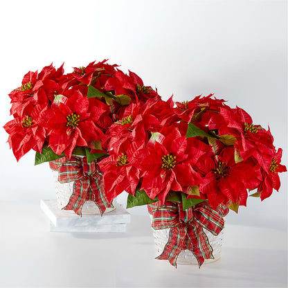 Happiest Holidays Poinsettia Bundle –  Bloomtopia, New Bedford MA