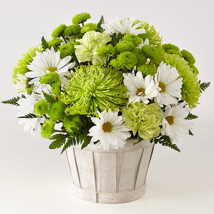 Lucky Charm Basket (Standard) –  Bloomtopia, New Bedford MA