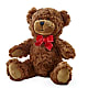 Adorable Plush Bear –  Bloomtopia, New Bedford MA