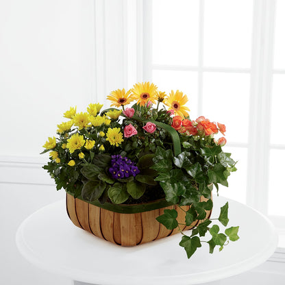 Gentle Blossoms Basket –  Bloomtopia, New Bedford MA