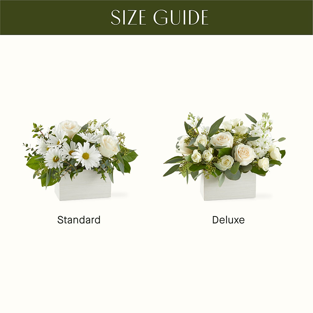 Fresh Linen Box Bouquet –  Bloomtopia, New Bedford MA