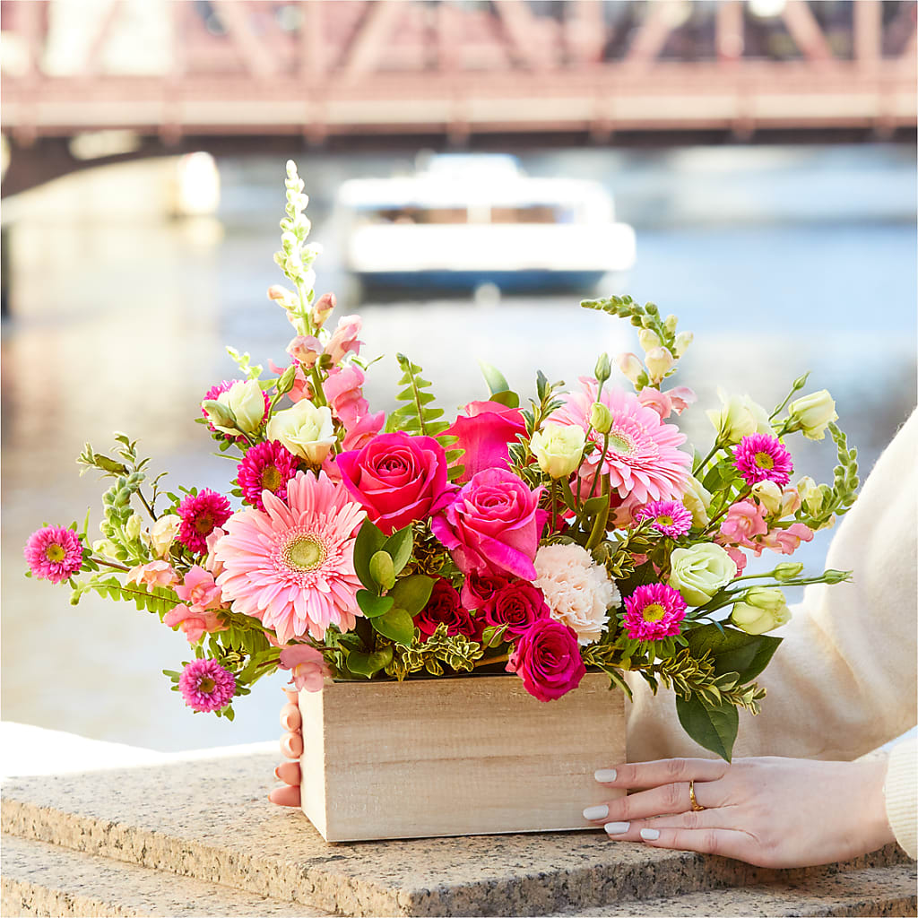 Too Cute Bouquet –  Bloomtopia, New Bedford MA