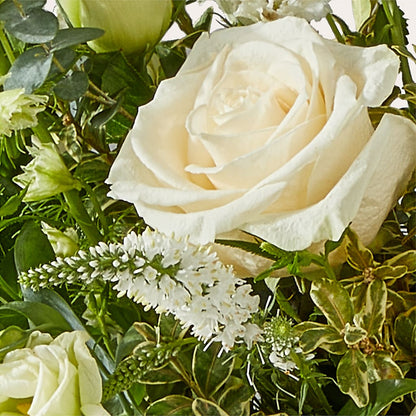 Cashmere Bouquet –  Bloomtopia, New Bedford MA
