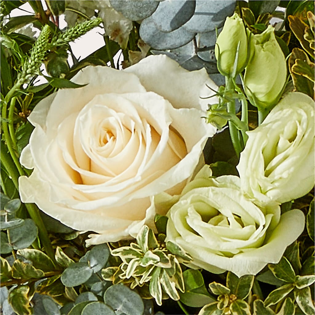 Cashmere Bouquet –  Bloomtopia, New Bedford MA