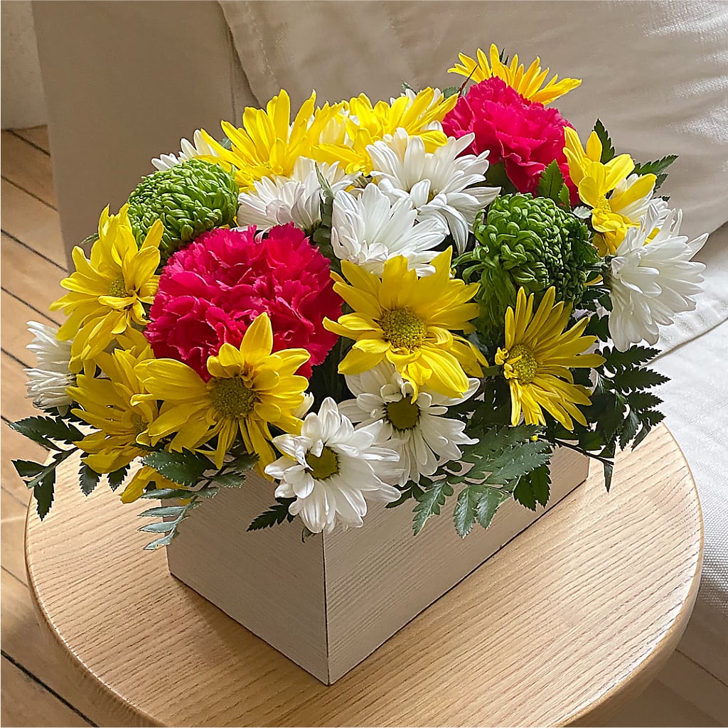 Sorbet Bouquet –  Bloomtopia, New Bedford MA