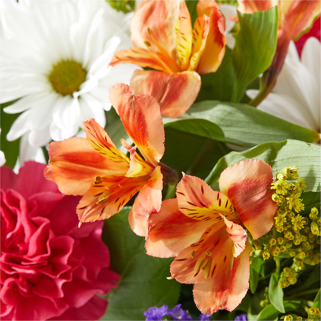 Oopsie Daisy Box Bouquet –  Bloomtopia, New Bedford MA