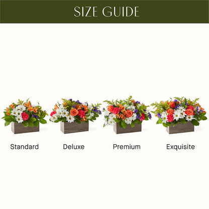 Oopsie Daisy Box Bouquet –  Bloomtopia, New Bedford MA