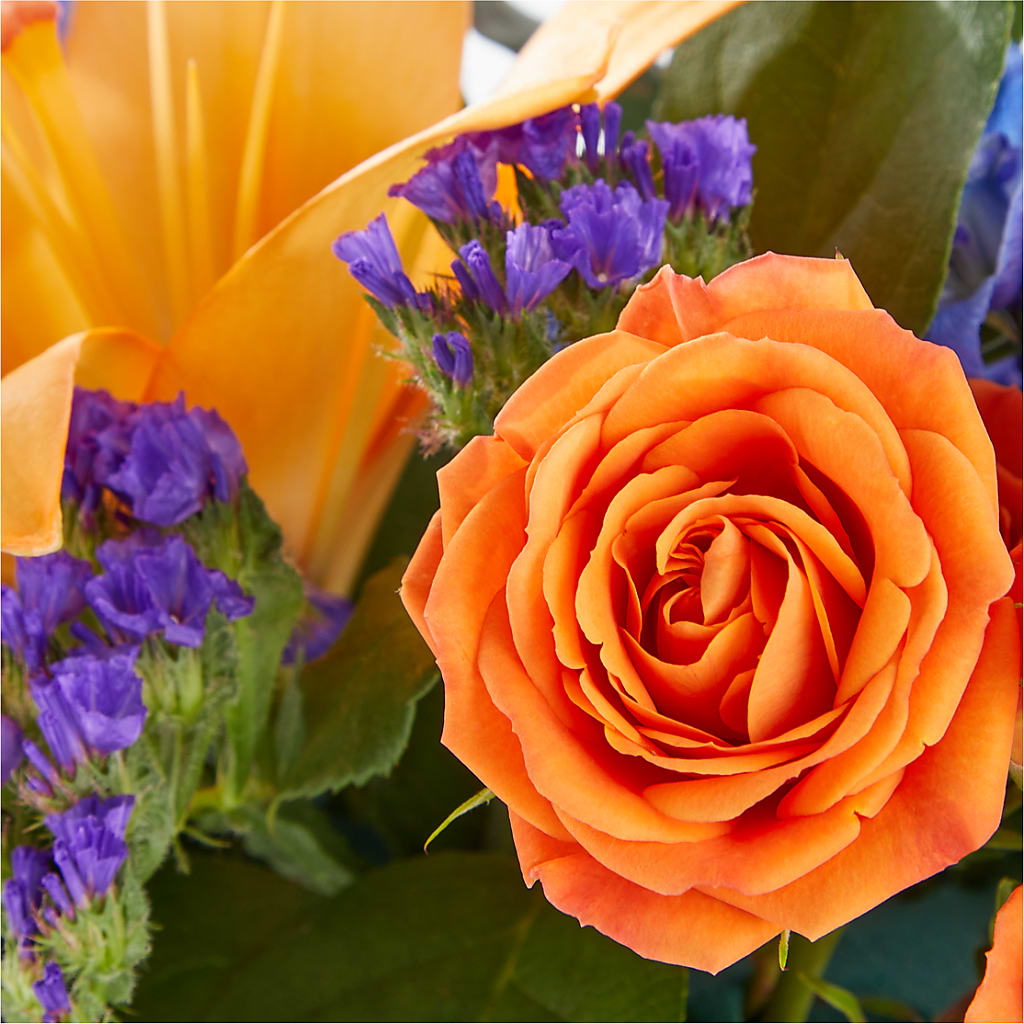 Radiant Citrus Box Bouquet –  Bloomtopia, New Bedford MA