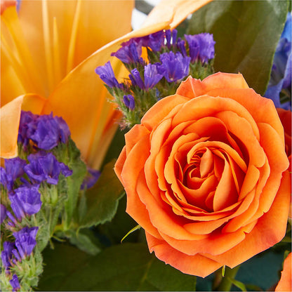 Radiant Citrus Box Bouquet –  Bloomtopia, New Bedford MA