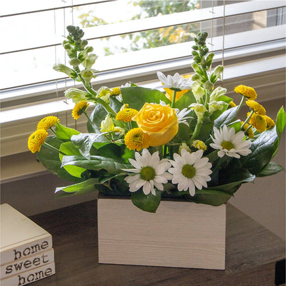 Sun Salutation Box Bouquet –  Bloomtopia, New Bedford MA