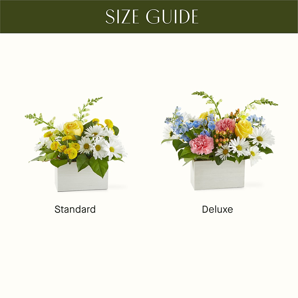 Sun Salutation Box Bouquet –  Bloomtopia, New Bedford MA