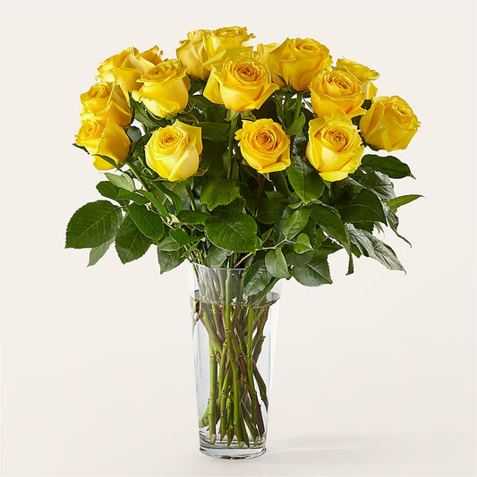 Long Stem Yellow Rose Bouquet –  Bloomtopia, New Bedford MA