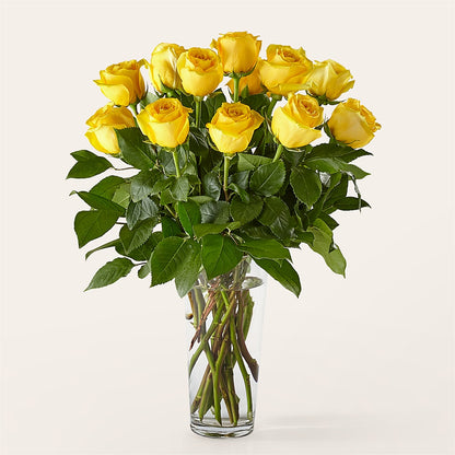 Long Stem Yellow Rose Bouquet –  Bloomtopia, New Bedford MA