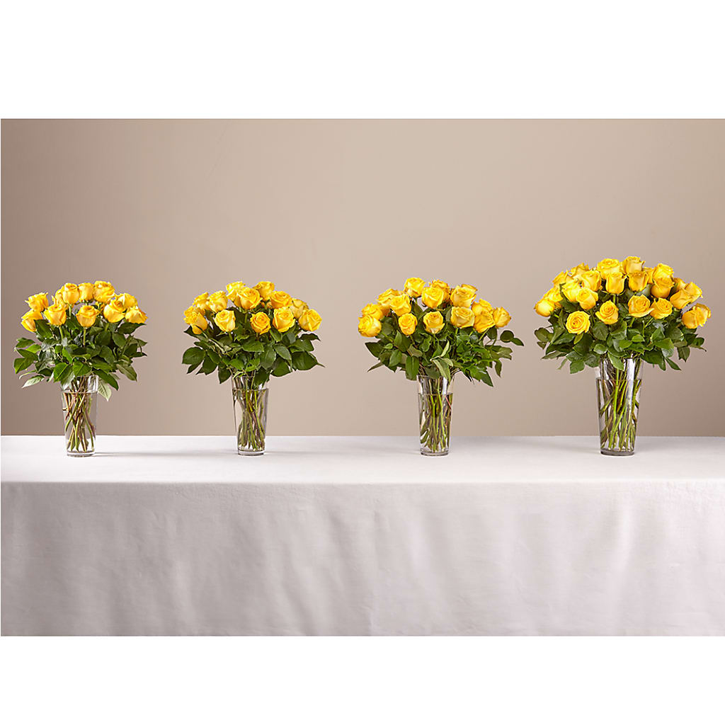 Long Stem Yellow Rose Bouquet –  Bloomtopia, New Bedford MA