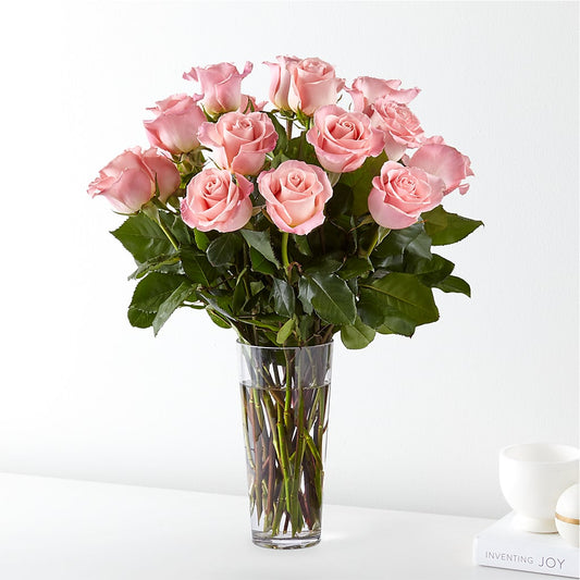 Long Stem Pink Rose Bouquet –  Bloomtopia, New Bedford MA