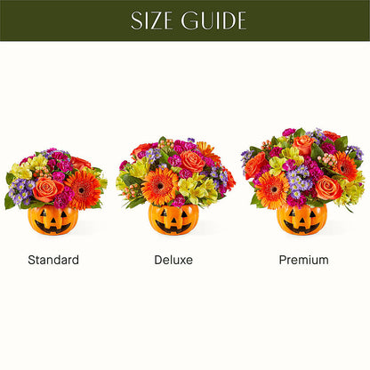 Tricks & Treats Pumpkin –  Bloomtopia, New Bedford MA